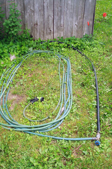Hose coiled on the ground