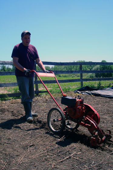 Matt tilling the garden