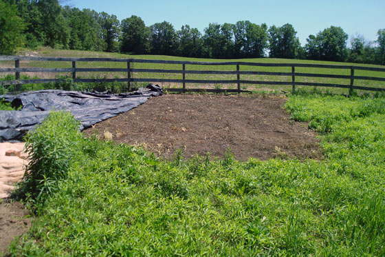 Garden covered with tarps