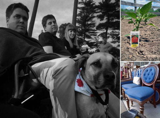 Vacation photo collage