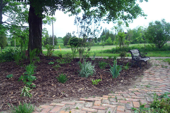 Turnaround garden in May 2014
