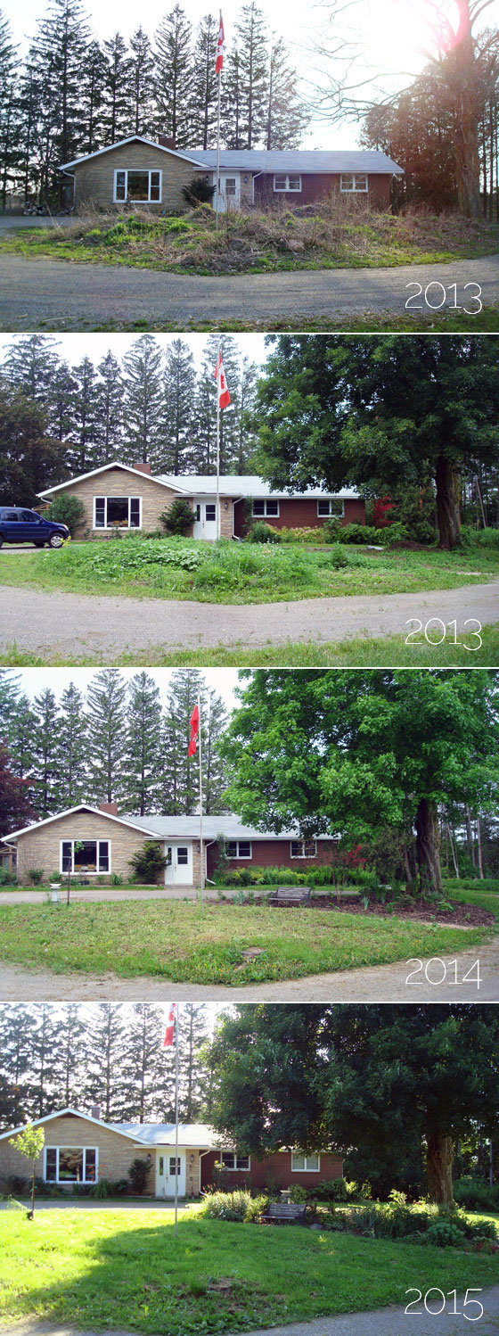 Evolution of the turnaround flower garden