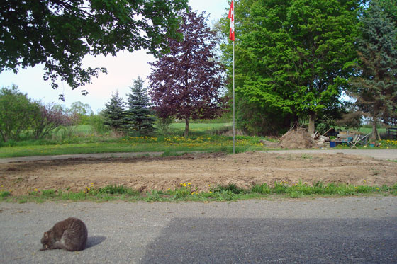 Turnaround garden before