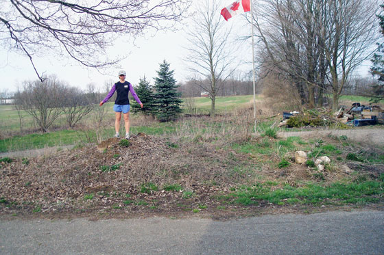 Turnaround garden before
