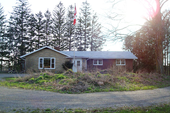 Turnaround garden before