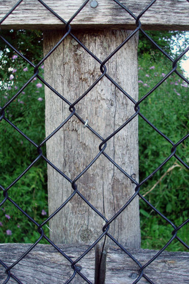 Chainlink fence stapled to a wood post