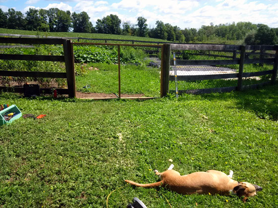 Baxter supervising gate construction