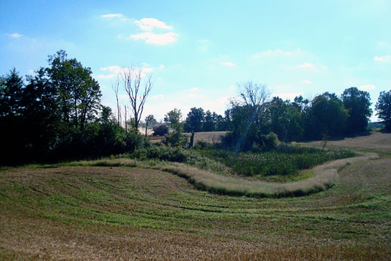 Combine in the distance