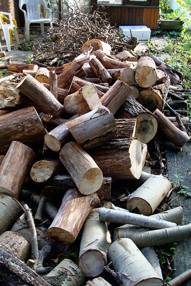 Firewood waiting to be split