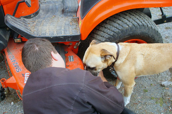 Baxter helping to remove the mower deck