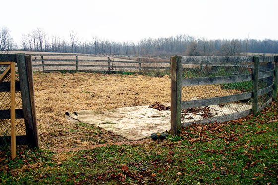 Carpet covering a corner of the garden
