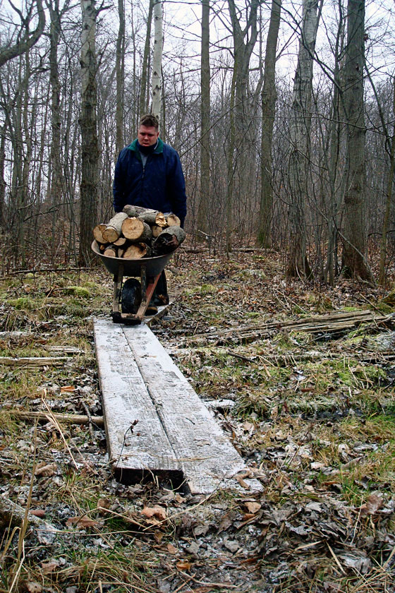 Pushing the wheelbarrow over the forest catwalk
