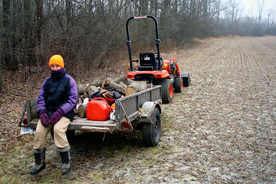 Trailer loaded with firewood