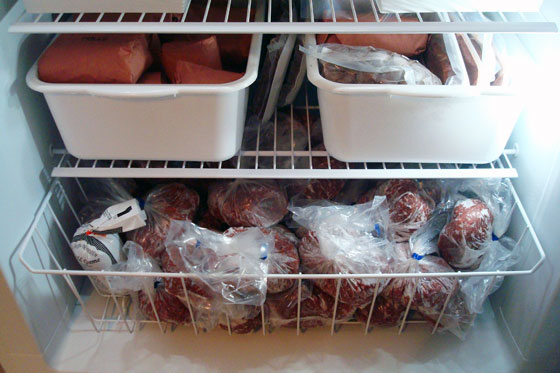 Venison in our new freezer