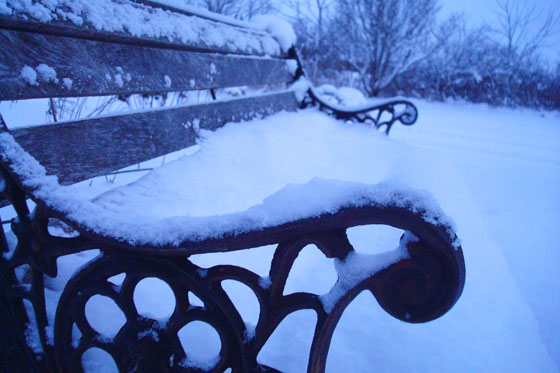 Snow covered bench
