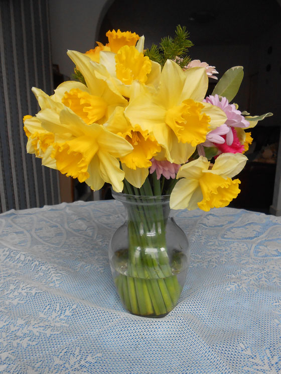 Bouquet of daffodils