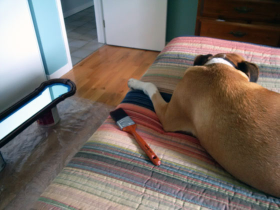 Baxter avoiding painting