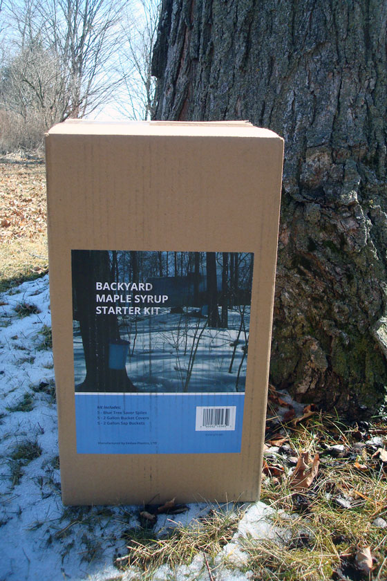 Backyard maple syrup kit