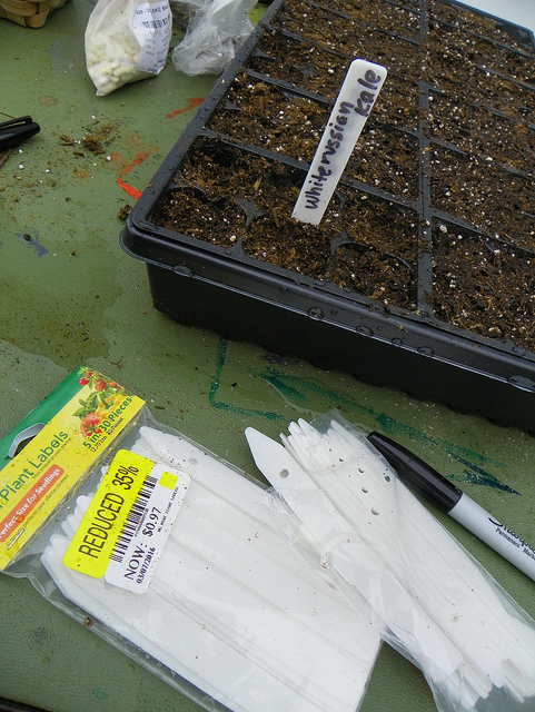 Starting plants from seed