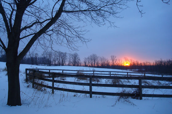 Sunrise over the farm