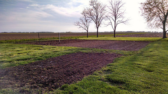 Tilled garden