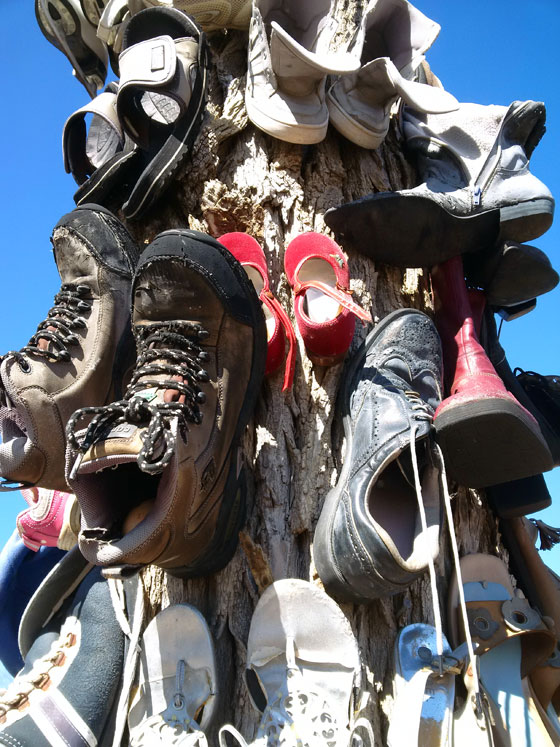 Shoe tree