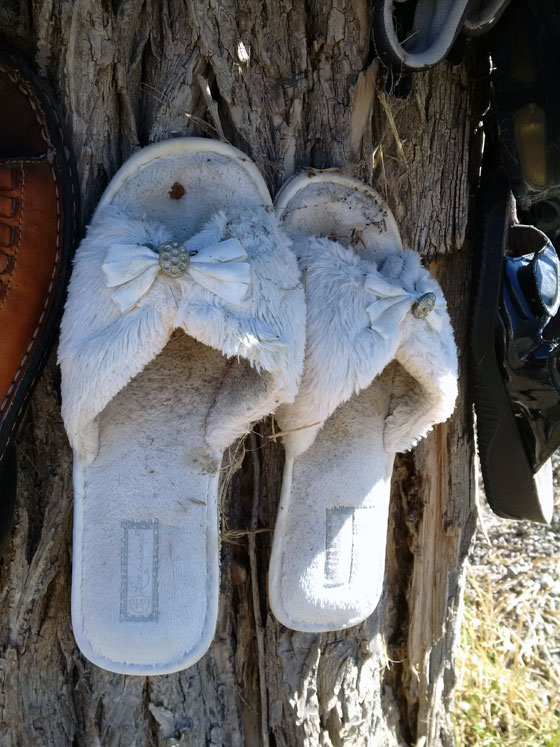 Shoetree