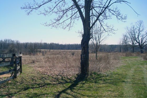 Burning weeds in the south field