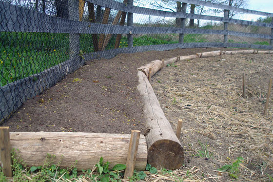 Raised garden bed made of logs