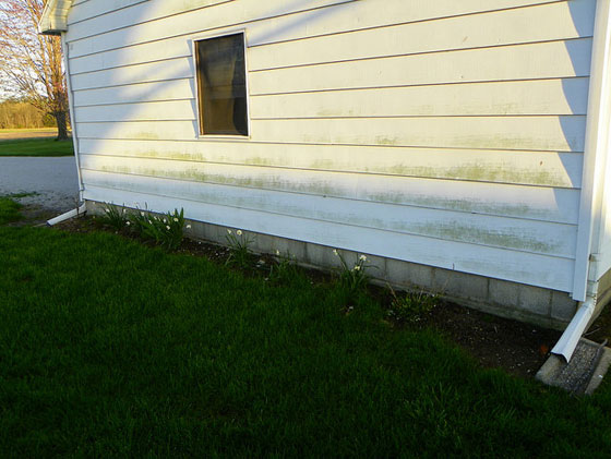 Dirty siding