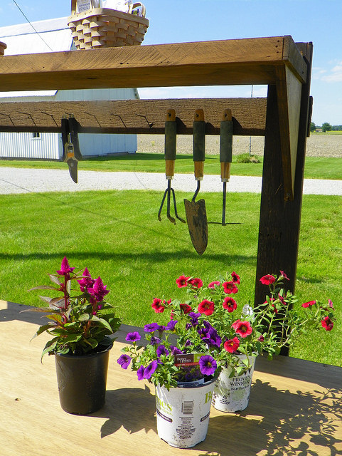 Tools hanging on a potting bench