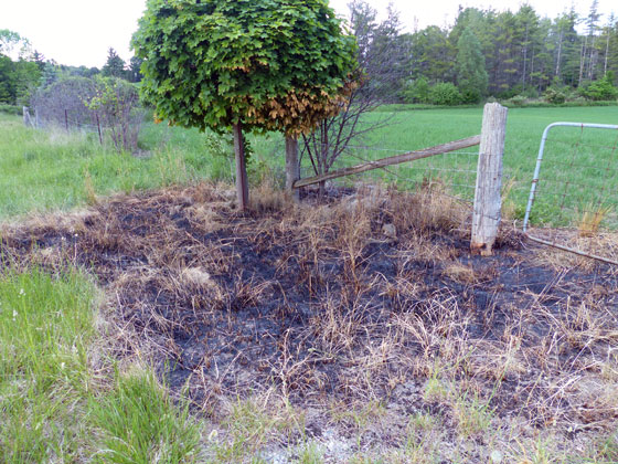 Aftermath of a ditch fire