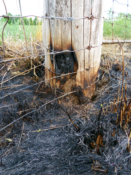 Burned fence post
