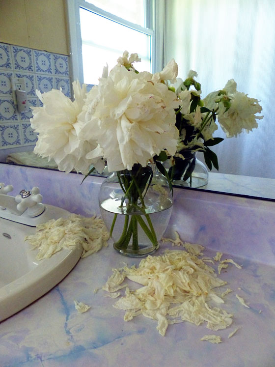 Wilted peony bouquet