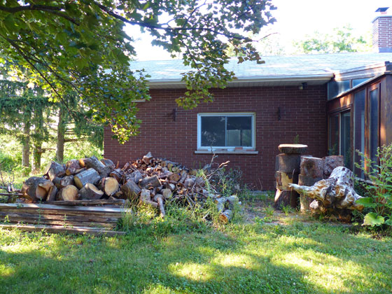 Unsplit firewood on the side patio
