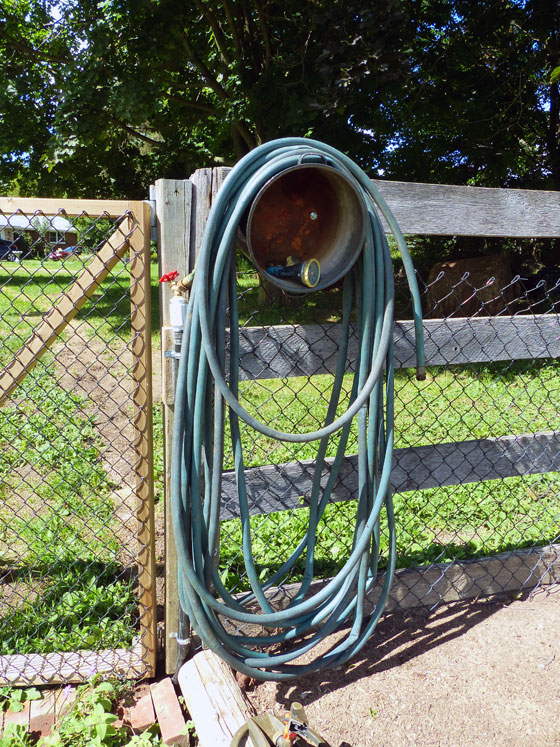 Hose in the vegetable garden