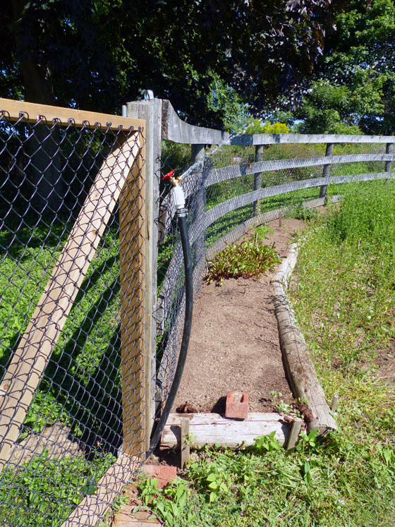Adding a hose at the vegetable garden