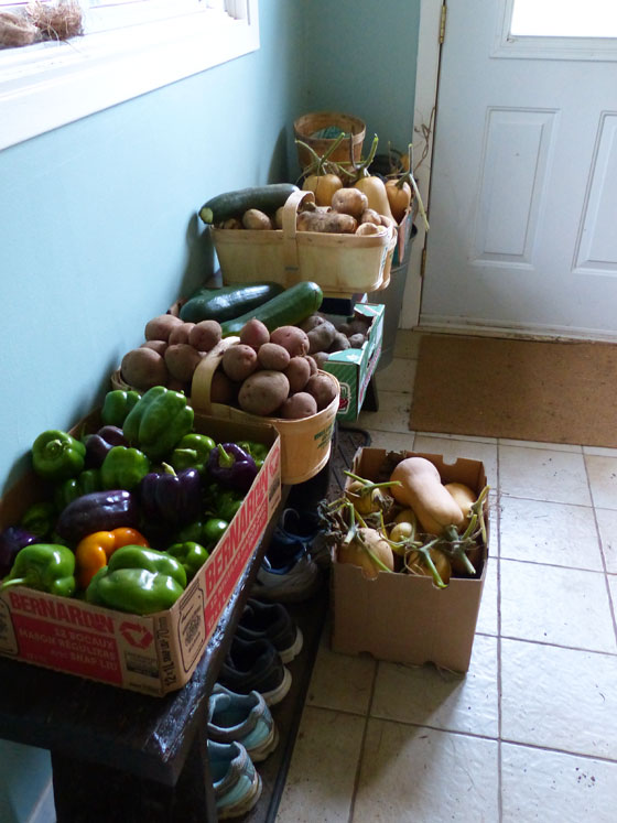 Garden harvest fall 2016