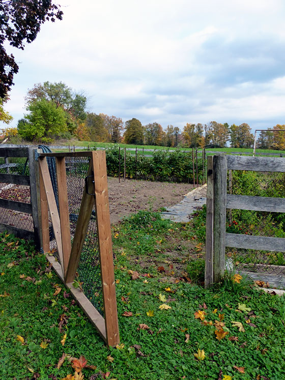 Vegetable garden in October 2016