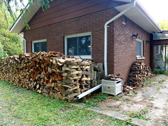 Woodpile