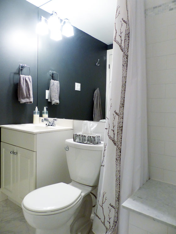 Small black and white bathroom