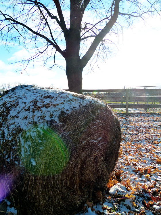 Snow on a round hay bale