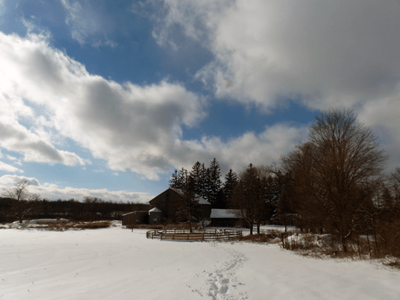 Snowy farm