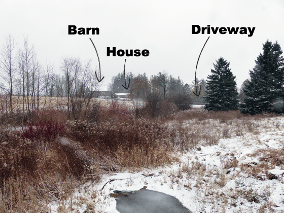 Farm set back from the road