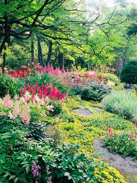 Colourful shade garden from Better Homes and Gardens