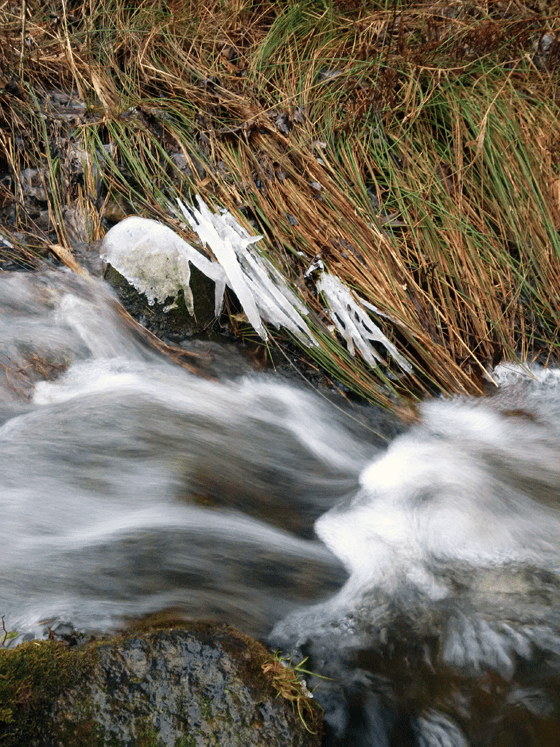 Fast flowing water in the creek