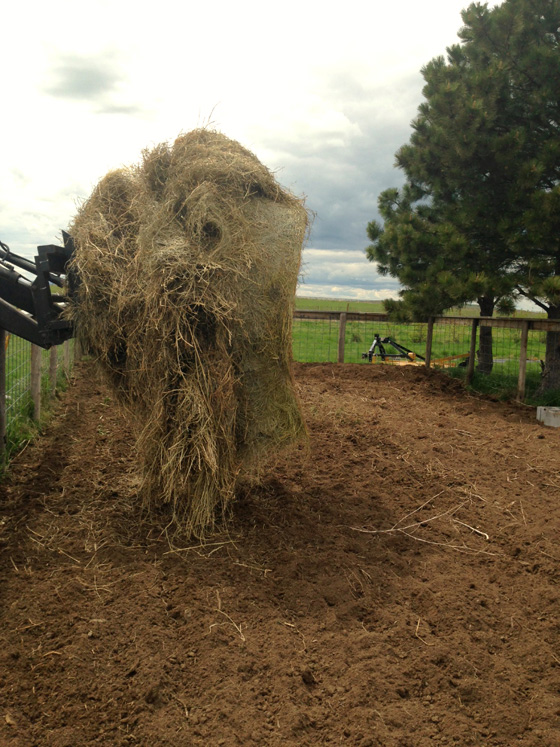 Hay mulch in the garden from The Prairie Homestead