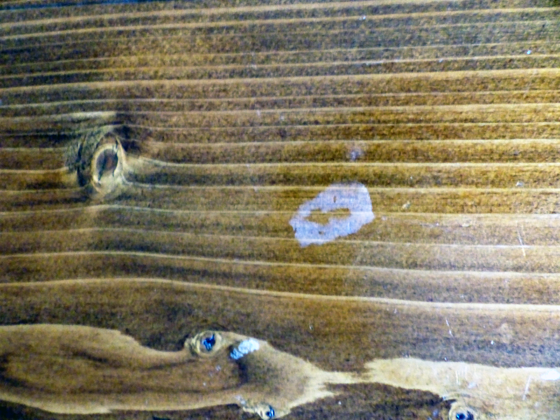 Stain etched on a wood countertop