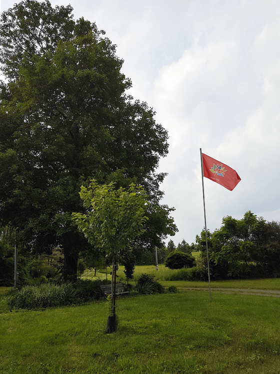 Canada 150 flag