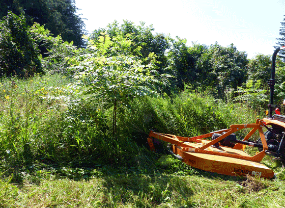 Clearing brush with the rotary cutter